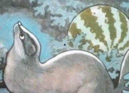 吃瓜的猹,揭秘娱乐圈的幕后真相